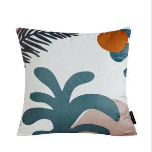 Wholesale Plain Super Soft Pillow Solid Color Cushions